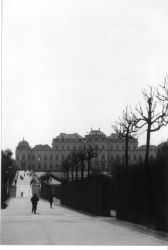 View from the Lower Belvedere