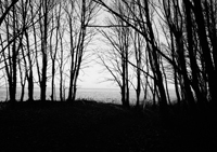 November
